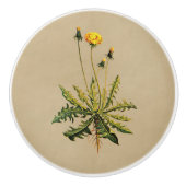 Kronleuchter auf altem Papier Keramikknauf (Vorderseite)