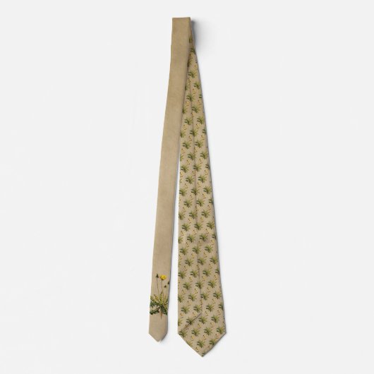 Kronleuchter auf altem Papier Krawatte (Rückseite)