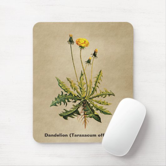 Kronleuchter auf altem Papier Mousepad (Mit Mouse)