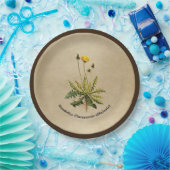 Kronleuchter auf altem Papier Pappteller (Party)