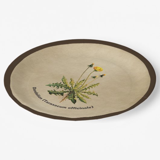 Kronleuchter auf altem Papier Pappteller (Schrägansicht)