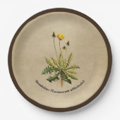 Kronleuchter auf altem Papier Pappteller (Vorderseite)