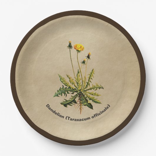 Kronleuchter auf altem Papier Pappteller (Vorderseite)