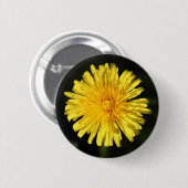 Kronleuchter Button (Vorne & Hinten)
