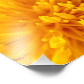 Kronleuchter Fotodruck (Ecke)