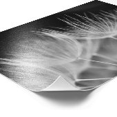 Kronleuchter in Schwarz-weiß Fotodruck (Ecke)