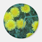 Kronleuchter Magnet (Vorne)