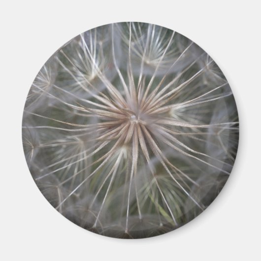 Kronleuchter Magnet (Vorne)