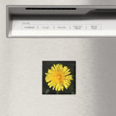 Kronleuchter Magnet (In Situ (Geschirrspüler))