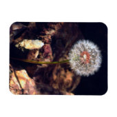 Kronleuchter Magnet (Horizontal)