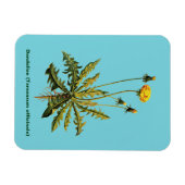 Kronleuchter Magnet (Horizontal)