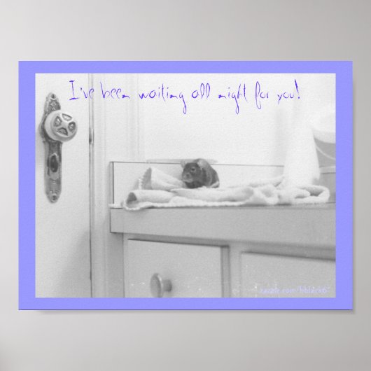 Kronleuchter Poster (Vorne)