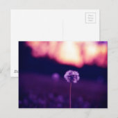 Kronleuchter Postkarte (Vorne/Hinten)