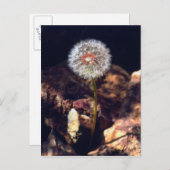 Kronleuchter Postkarte (Vorne/Hinten)