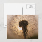 Kronleuchter Postkarte (Vorne/Hinten)