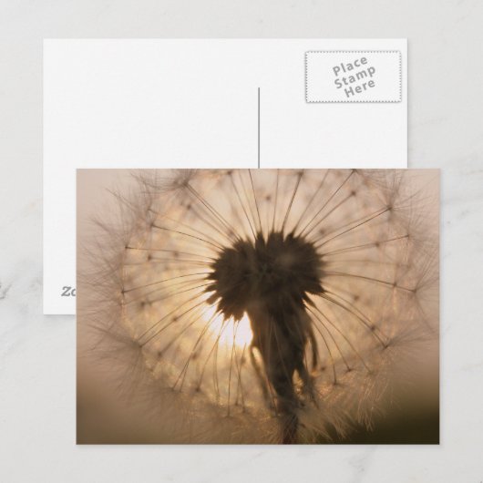 Kronleuchter Postkarte (Vorne/Hinten)