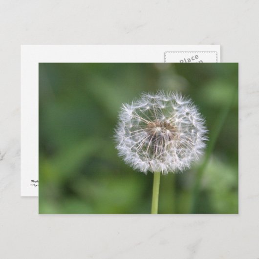 Kronleuchter Postkarte (Vorne/Hinten)