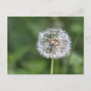 Kronleuchter Postkarte