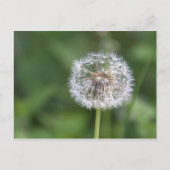 Kronleuchter Postkarte (Vorderseite)