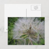 Kronleuchter Postkarte (Vorne/Hinten)