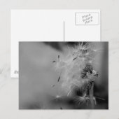 Kronleuchter Postkarte (Vorne/Hinten)