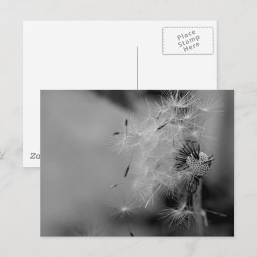 Kronleuchter Postkarte (Vorne/Hinten)