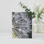 Kronleuchter Postkarte (Stehend Vorderseite)