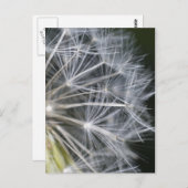 Kronleuchter Postkarte (Vorne/Hinten)