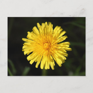 Kronleuchter Postkarte
