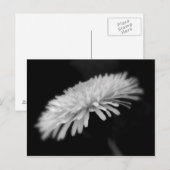 Kronleuchter Postkarte (Vorne/Hinten)