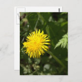 Kronleuchter Postkarte (Vorne/Hinten)