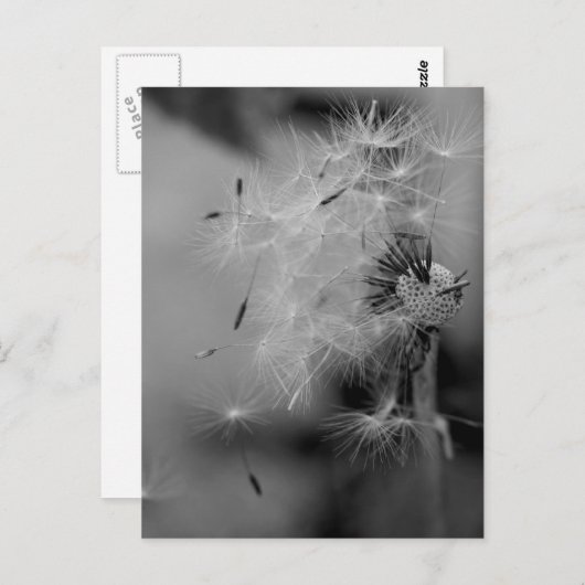 Kronleuchter Postkarte (Vorne/Hinten)