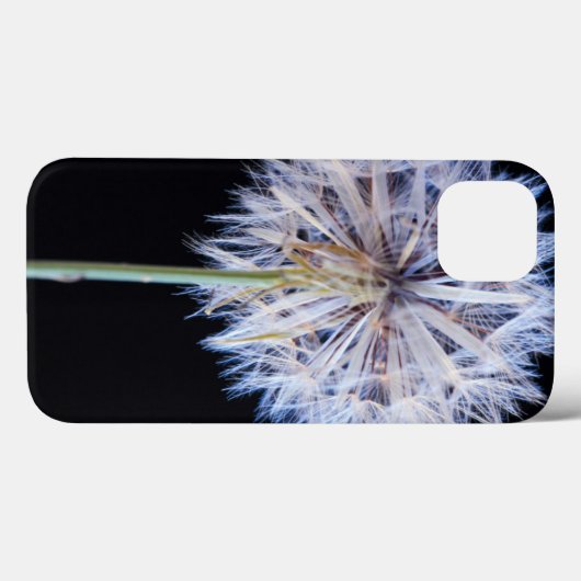 Kronleuchter (Taraxacum Officinale) Case-Mate iPhone Hülle (Rückseite (Horizontal))