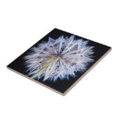 Kronleuchter (Taraxacum Officinale) Fliese (Seite)