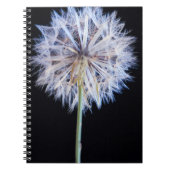 Kronleuchter (Taraxacum Officinale) Notizblock (Vorderseite)