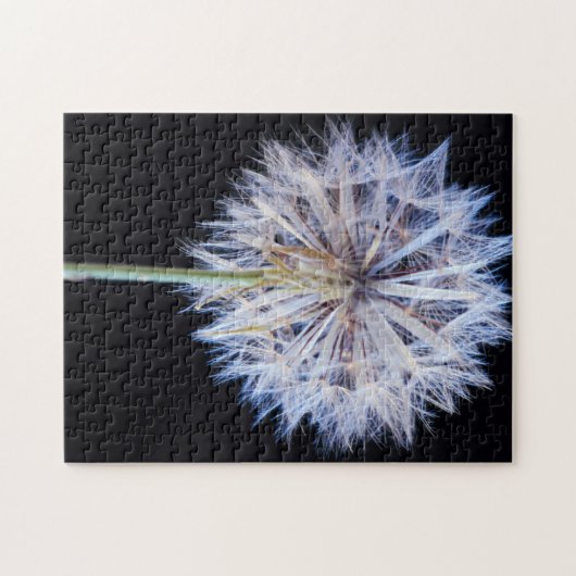 Kronleuchter (Taraxacum Officinale) Puzzle (Horizontal)