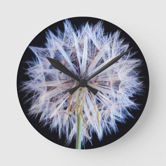 Kronleuchter (Taraxacum Officinale) Runde Wanduhr (Vorderseite)