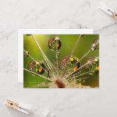 Kronleuchter und Wassertropfen Karte (Vorderseite/Rückseite Beispiel)