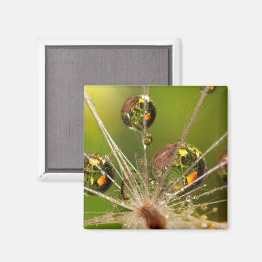 Kronleuchter und Wassertropfen Magnet (Vorderseite/Rückseite)