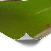 Kronleuchter und Wassertropfen Poster (Ecke)
