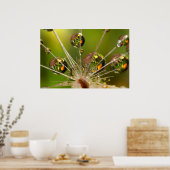 Kronleuchter und Wassertropfen Poster (Küche)