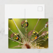 Kronleuchter und Wassertropfen Postkarte (Vorne/Hinten)