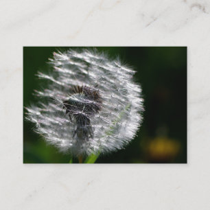 Kronleuchter - Visitenkarte