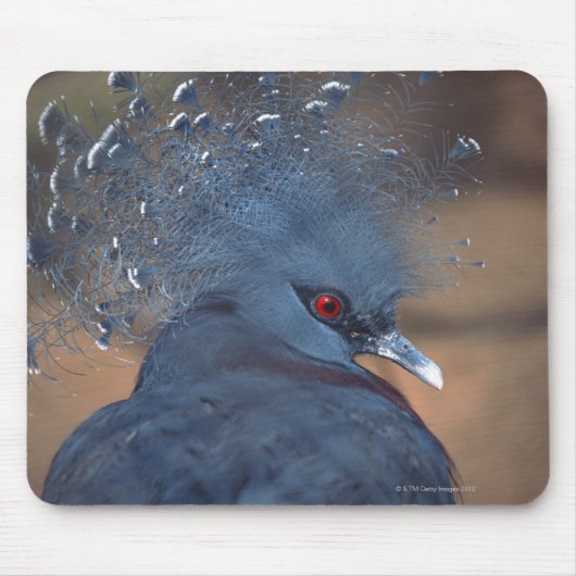 Krontaube Mousepad (Vorne)