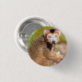 Krönte Lemurs Überraschung: Ein skandinavischer Au Button (Vorne & Hinten)