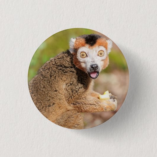 Krönte Lemurs Überraschung: Ein skandinavischer Au Button (Vorderseite)