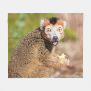 Krönte Lemurs Überraschung: Ein skandinavischer Au Fleecedecke
