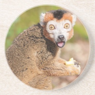Krönte Lemurs Überraschung: Ein skandinavischer Au Getränkeuntersetzer