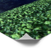 Kropduster Poster (Ecke)