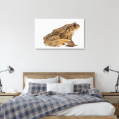 Kröte oder Kröte (Bufo bufo) Leinwanddruck (Insitu (Schlafzimmer))